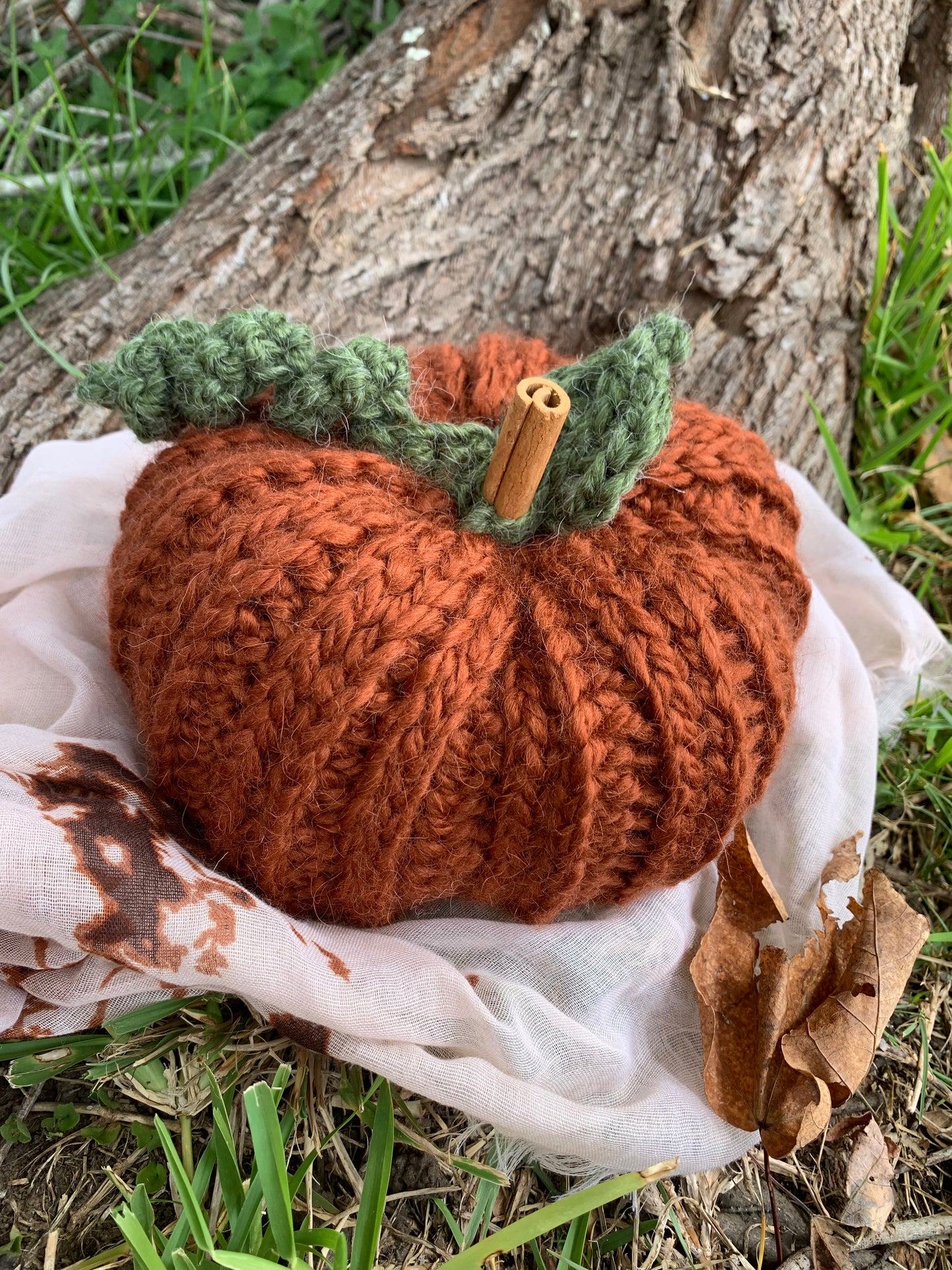 Pumpkin - Large