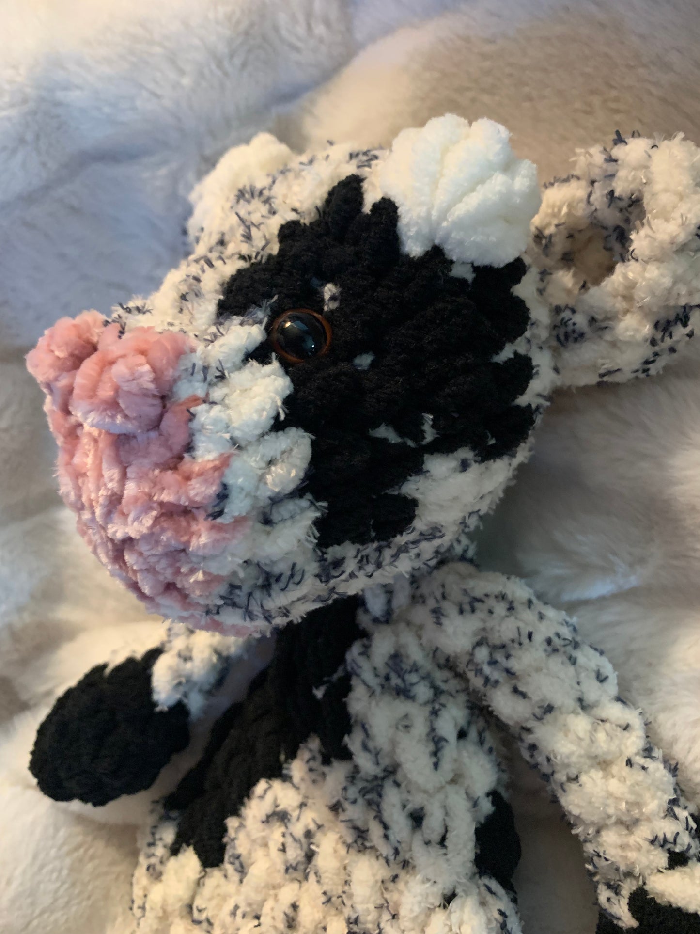 Cow Lay Flat