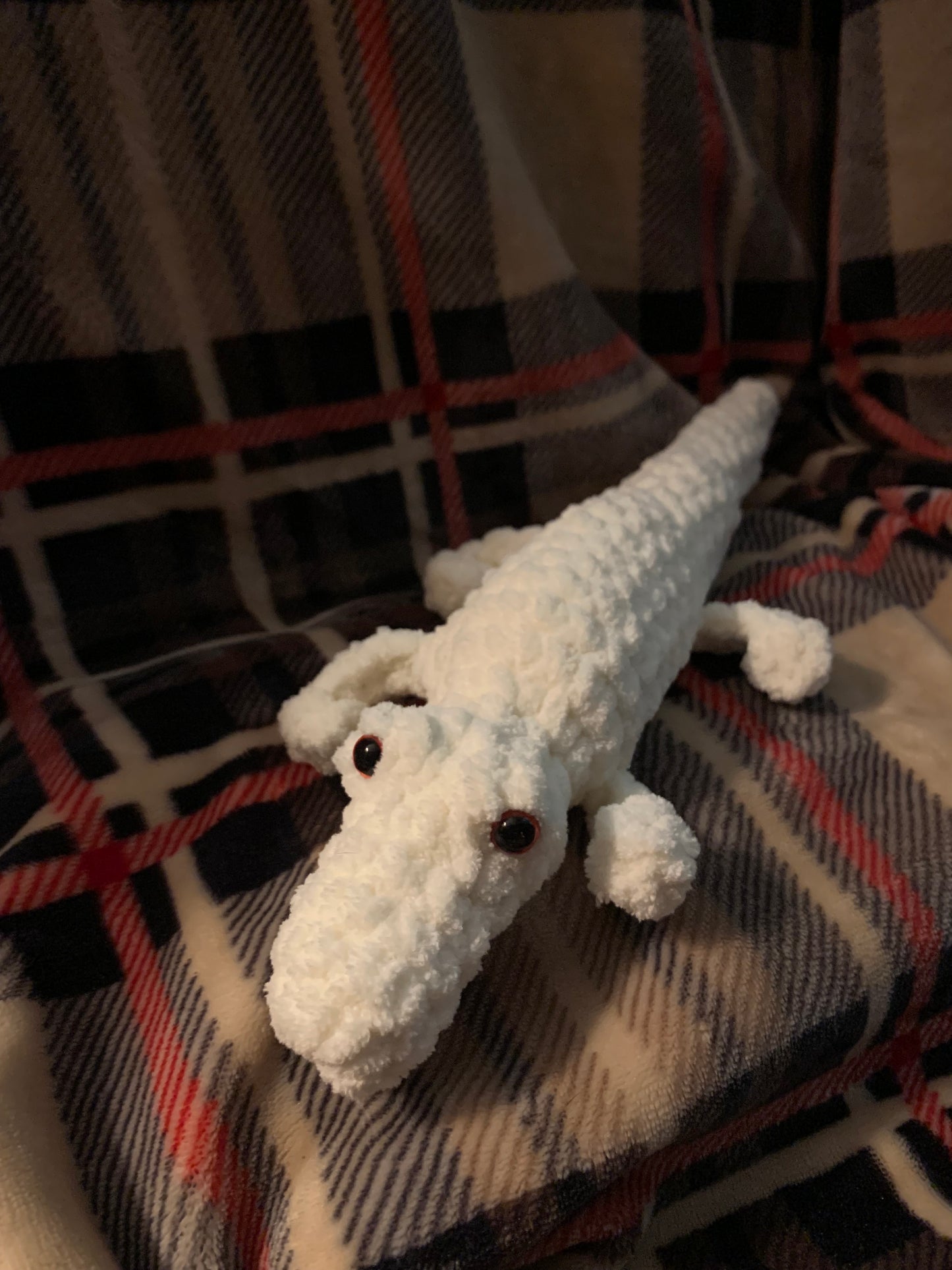 Alligator