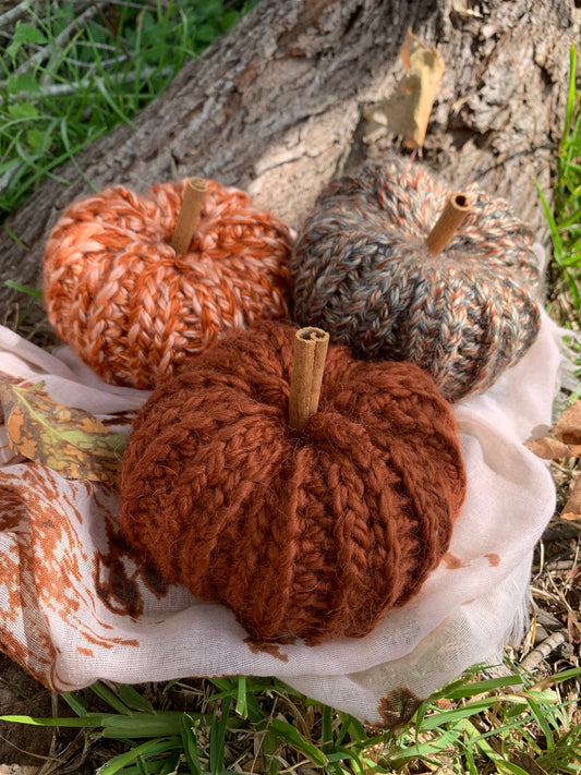 Pumpkin - Medium