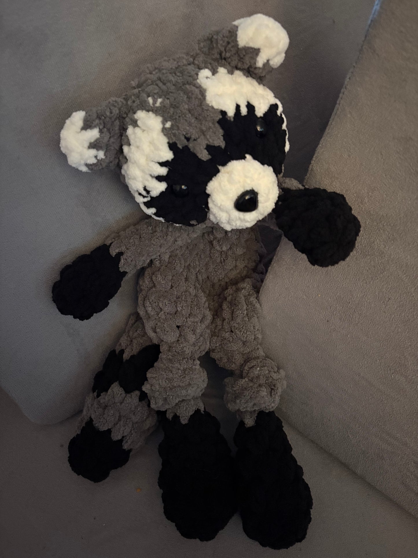 Raccoon Lay Flat