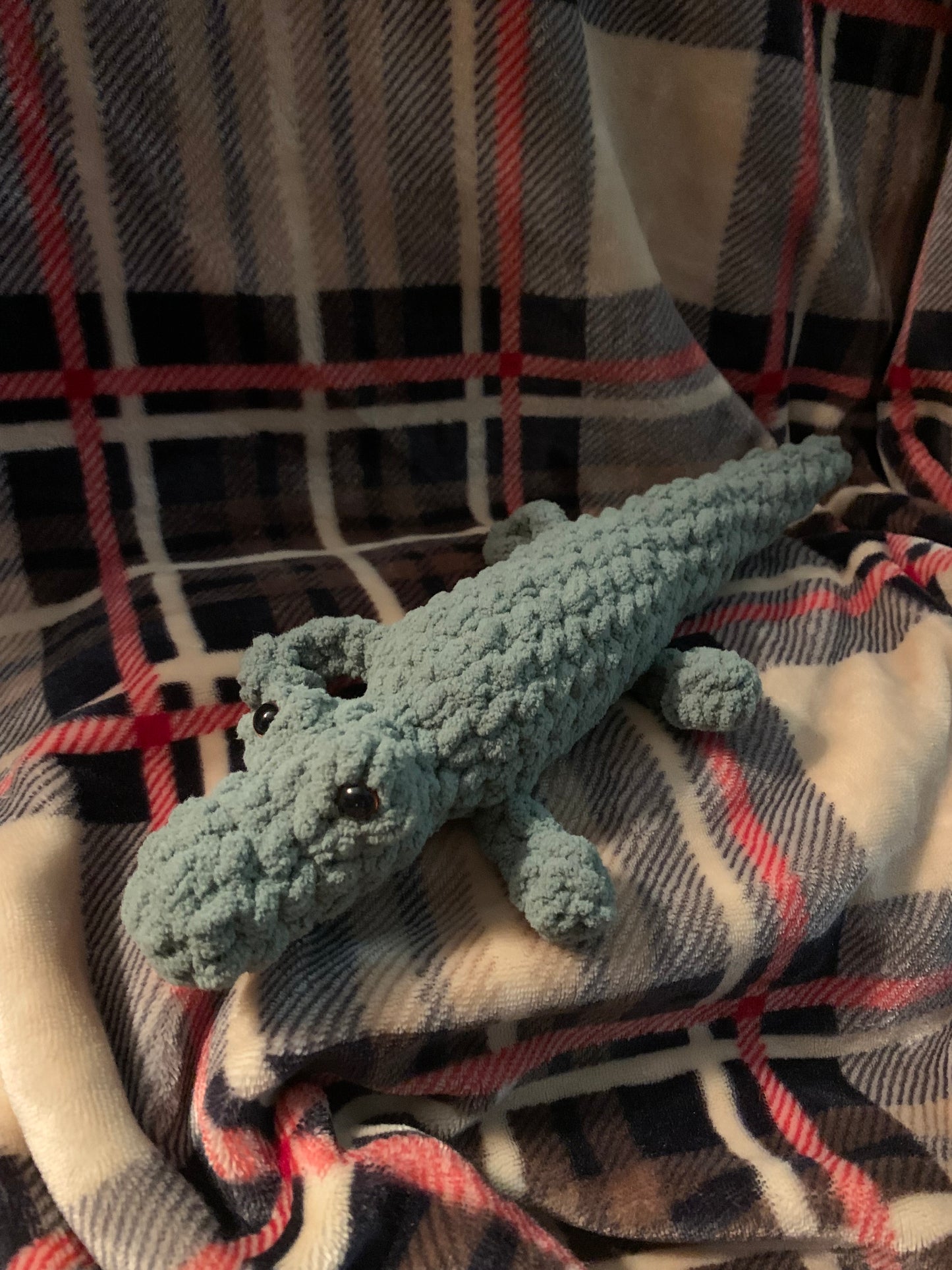 Alligator
