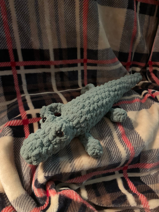 Alligator